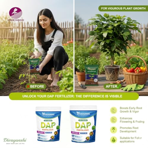 Image of Divayanshi Organic DAP for Plants | Phosphorus-Rich Plant Nutrition for Strong Roots, Faster Growth & Higher Yield | Suitable for Garden, Pots & Farming- 1.5 KG