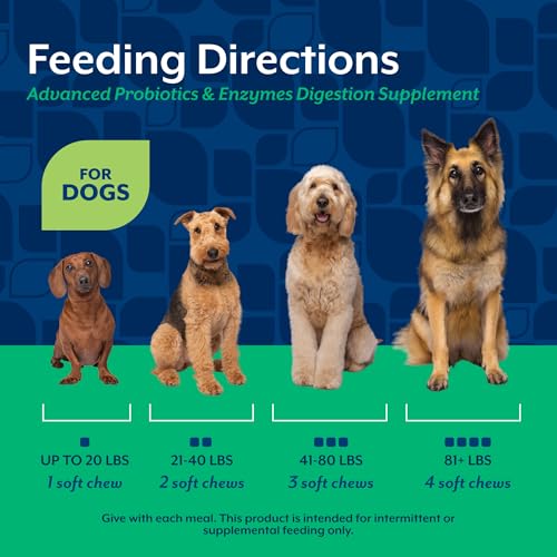 Image of NaturVet Advanced Probiotics & Enzymes Dog Supplement - 240 Soft Chews