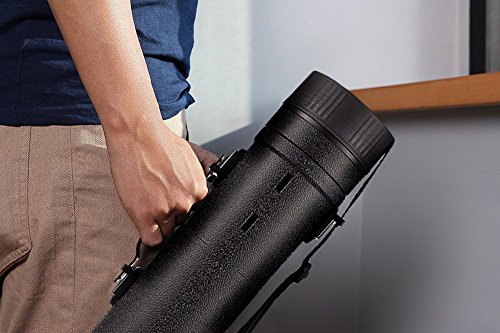 Expandable Poster Tube, Adjustable Water Resistant Case (30 to 49 in, Black)