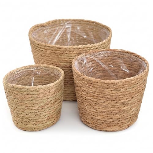 Panier de plantes en jonc mer tressé main pour une maison douce et chaleureuse