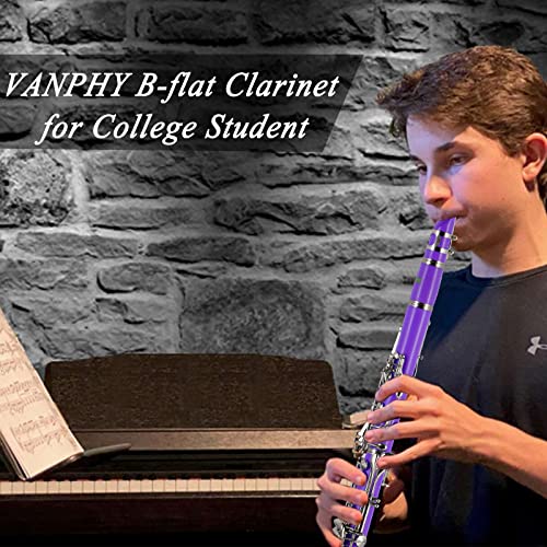 Image of Bb Clarinet 17 Keys Flat B Clarinet for Beginners & Students Purple