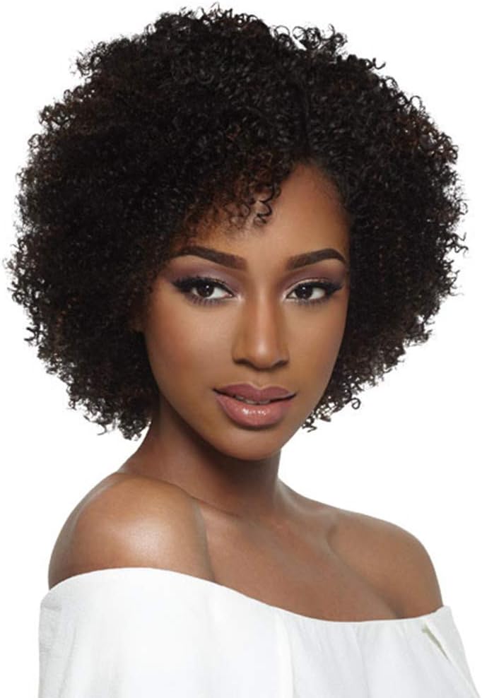AISI HAIR Afro Curly Wig for Women Short Afro Kinkys Curly Hair Wig Synthetic Heat Resistant Wigs Curly Afro Wigs