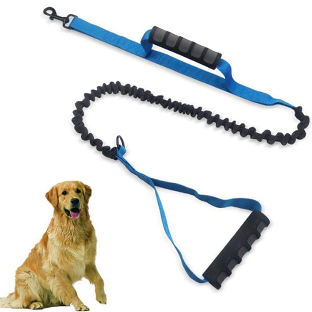 Guinzaglio da corsa per cani Guinzaglio per cani da corsa a mani libere Guinzaglio da corsa per cani Guinzaglio da corsa Guinzagli lunghi per addestramento cani Guinzaglio da corsa per cani Guinzaglio