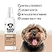 Buddycare Desodorierungsspray für Hunde – Kokosnuss – Süßes und pflegendes Desodorierungsspray für Hunde – Mit Aloe Vera und Pro Vitamin B5 (200 ml, 1 Stück)