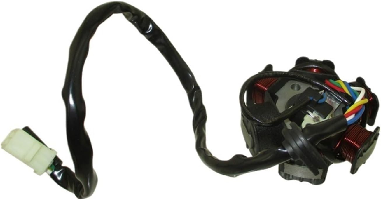 6 Poles Coils Ignition Stator Rotor Magneto for GY6 50cc Engine - good Replacement for Moped, Scooter, ATV, Go Kart