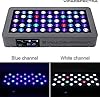 VIPARSPECTRA 165W LED Aquarium Light Dimmable Full Spectrum LED Reef Lights for Coral Saltwater Fish Tank, Remote/Timer Control, Programmable Auto On/Off, Blue/White Dual Channel Brightness 0-100%