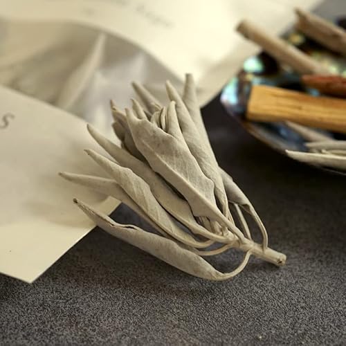 zCgZ[W 򉻗p LUCAS JX (10gyI[XgAY_ R͔|z)