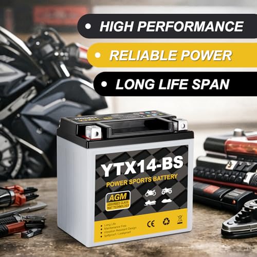 Daakmax YTX14-BS 220 CCA Battery