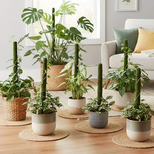 Image of CINAGRO 3ft Natural Coir Moss Stick for Plant Support, Set of 6, Grass Pole | Aesthetic Garden Decor for Climbing Plant, Eco-Friendly, Biodegradable