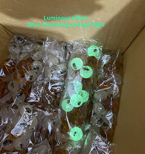 Image of Multiple Psc Spherical Insect Amber Fossil, Spherical Luminous Insect Specimen, Educational and Scientific Amber Collection (8Pcs)
