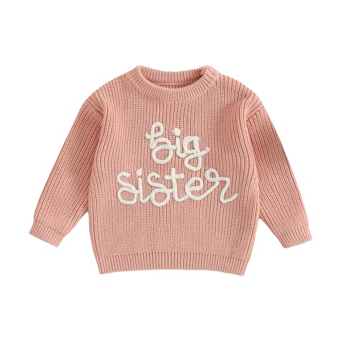 Scloutarry Sibling Matching Clothes Big Sister/Big Brother Sweater Knit Sweatshirt Letter Embroidery Shirt Winter Clothes (Pink 12-18 Months)