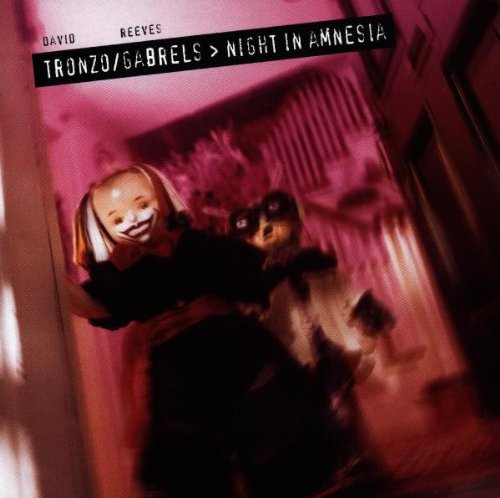 Night in Amnesia [Audio CD] Tronzo, David and Gabrel, Reeves