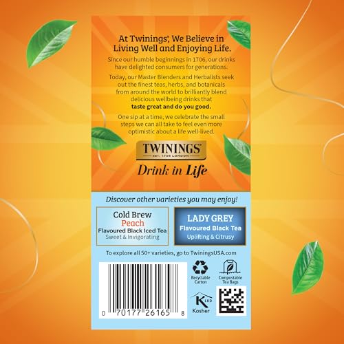Image of Twinings English Classic Cold Brew Iced Tea Bags, 20 Count (Pack of 6), Unsweetened Black Tea, Caffeinated, 120 Teabags