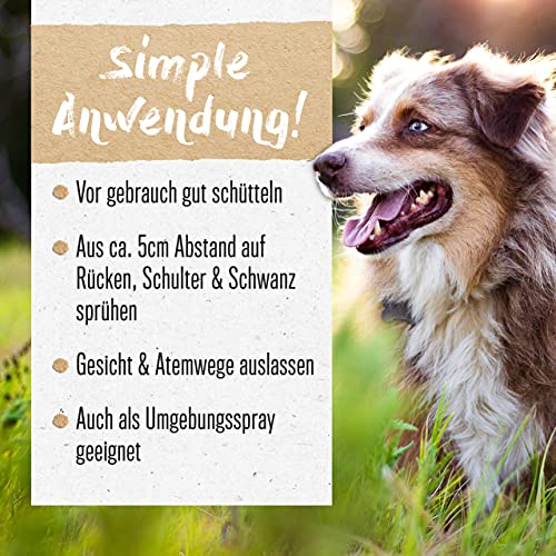 alphazoo Grasmilben-Spray Abgegrast 100 ml – Natürliches Milbenmittel für Hunde & Katzen – Starker Schutz gegen Herbstgrasmilben, Milbenbisse & Parasiten – Juckreiz lindern & Neubefall vorbeugen
