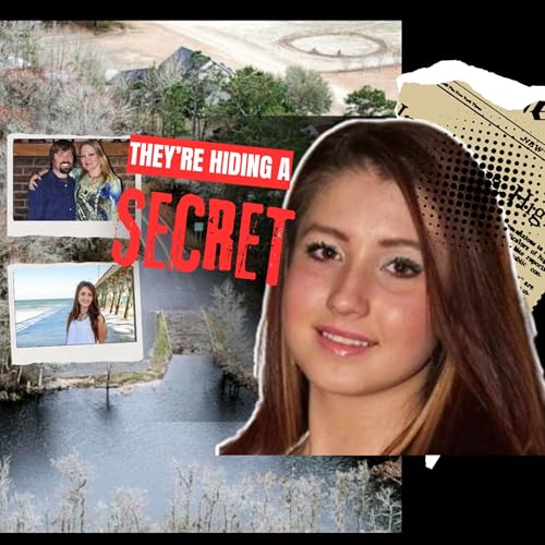 The Suspicious Disappearance of Heather Elvis cover art