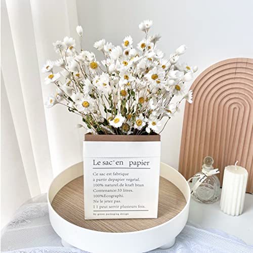 Ramo de Flores Secas Margarita Blanca 250 unidades miniatura 6