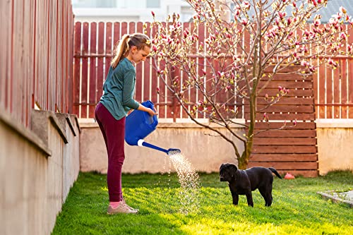 1.5 Gallon Watering Can For Outdoor & Indoor Plants, Large Garden Watering Pot With Lightweight And 5.5L Capacity, Plastic Watering Can With Long Spout And Metal Removable Sprinkler Head, Blue #TOP4