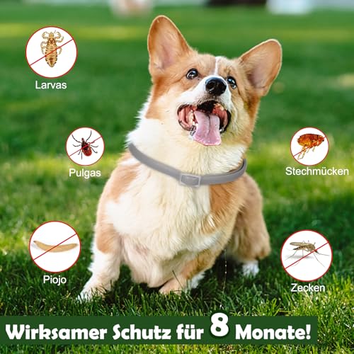 DEWEL 63.5cm Leuchtendes Zeckenhalsband für Hunde, Zeckenhalsband Leuchthalsband Hund Verstellbar Floh-und Zecken Prävention Halsbänder Wasserdicht Fluoreszierendes Flohhalsband gegen Ungeziefer