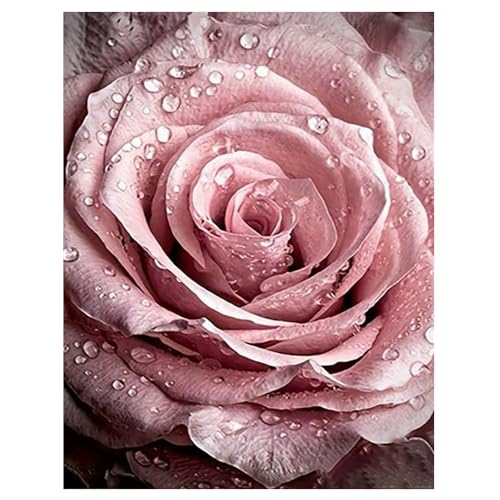DCIDBEI Diamond Painting Gouttes de Rosée Roses 40x50cm Peinture Diamant Adultes Roses avec Gouttes de Rosée Peinture par Numéros Premier Amour Gratitude...