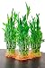 9Greenbox Top Quality Lucky Bamboo for Feng Shui, 5 Pound (Pack of 3)