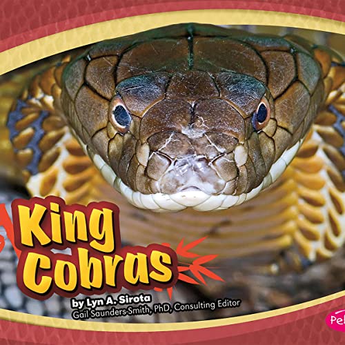 King Cobras by Joanne Mattern episode artwork
