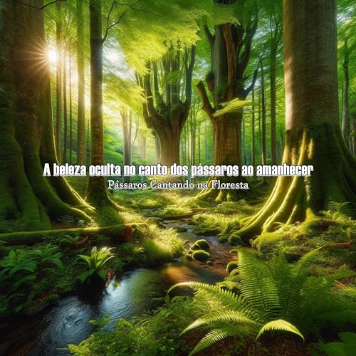 A Sinfonia da Alvorada, Descubra Quais Pássaros Cantam ao Amanhecer
