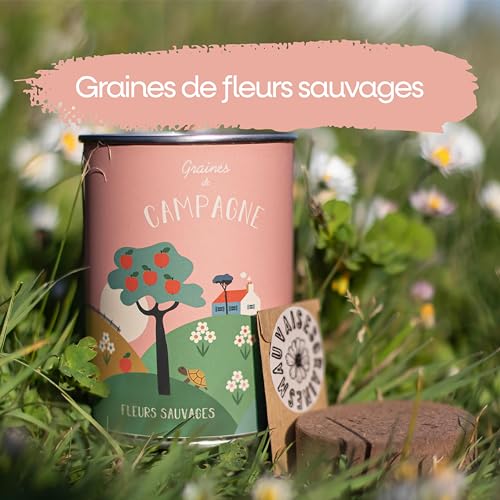 Graines de fleurs sauvages : kit de semis ultra simple
