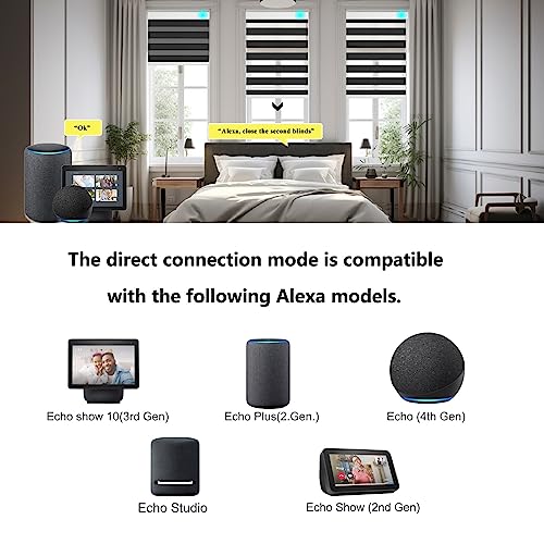 Image of Changshade Smart Zebra Roller Blinds Motorized Shades Work with Alexa, Window Shade Intelligent Electric Automatic, Black, JZCMD-RBS-BK-DNA (MYDY25Z-1)