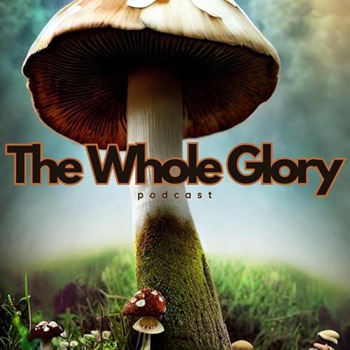 #5 - The Never Ending Can Of Beans Titelbild