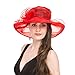SAFERIN® Women's Organza Church Kentucky Floral Bridal Party Derby Hat Red