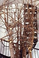 Wood Whirled B000FH39DS Book Cover