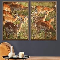 2 Piece Framed Canvas Wall Art Deer Canvas Prints Home Artwork Decoration for Living Room,Bedroom - 16