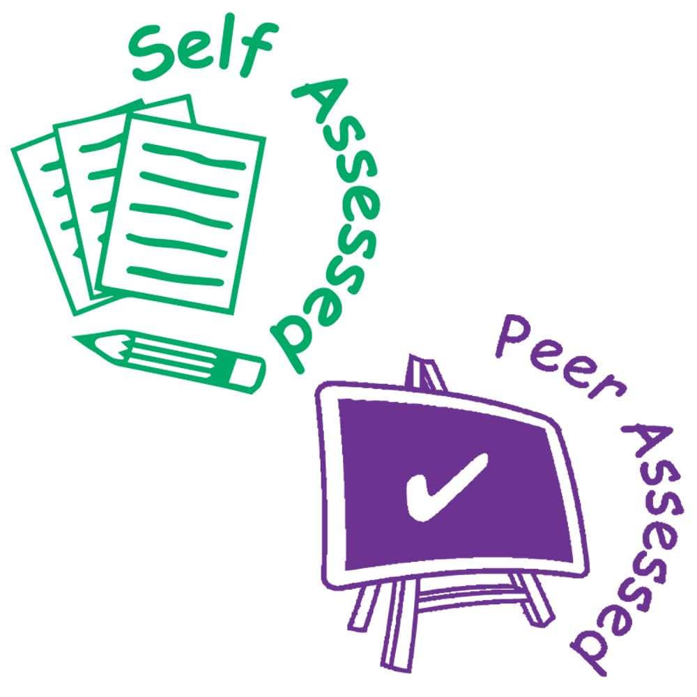 Self Assessed & Peer Smiley Face Designs. 2 X Inking Teacher Stamps Reinkable 22mm 93667