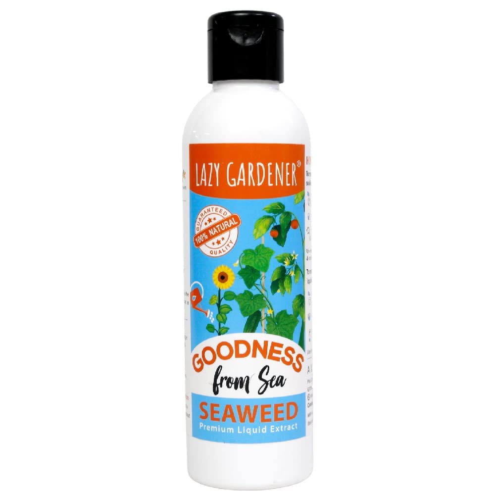 Lazy Gardener Liquid Seaweed Fertilizer for Plants All Purpose Indoor & Outdoor Plants, Flowering & Fruiting Promotes Plant Growth, Flowering, Fruiting - Keeps Plant Healthy and Greenish 200ml