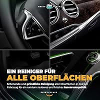 SONAX CleanStar (750ml) Innenraumreiniger Auto + Bürste + chemicalworkz Pinsel + Sonax Mikrofasertücher (2 Stk.) – Ansicht 3