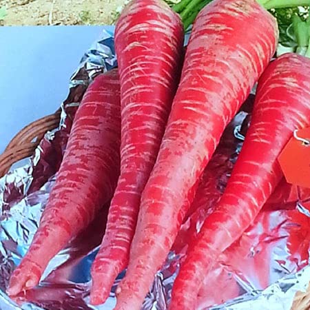 Golden Hills Farm Hybrid Red Carrot, Lal Gajar, 1000+ seeds (B096GBBWTF) Amazon Price History, Amazon Price Tracker