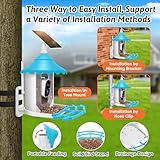 MYPIN Bird Feeder Camera, 2.6L Smart Bird Feeders, Solar Powered Bird Camera Wireless Outdoor with 2K HD Video, Auto Record Videos & Instant App Notifications, SD & Cloud for Parents, Bird Lovers - Image 8