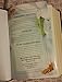 Bilingual & Parallel Holy Bible - Yoruba & English by BeaulahLand Publishers (2005-01-01)
