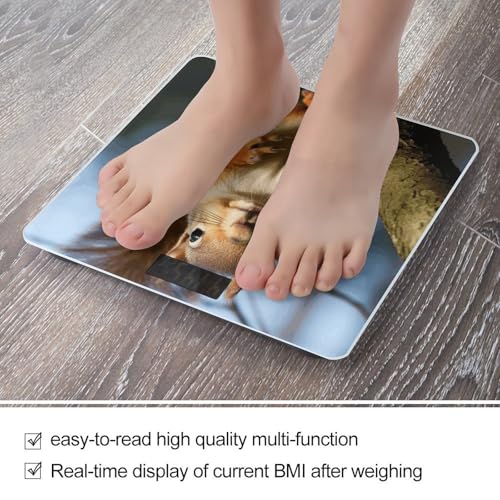 Báscula Digital de Baño con Diseño de Ardilla 400lb LCD miniatura 5