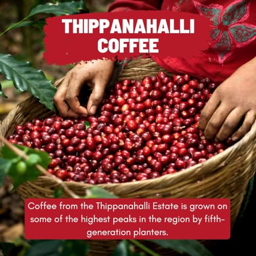 Image of Toffee Coffee Roasters | Thippanahalli Coffee | As Seen On Shark Tank | Single Origin | Arabica | Dark Roast | Notes: Nutty and Chocolaty (Home Espresso Machine, 500gm)