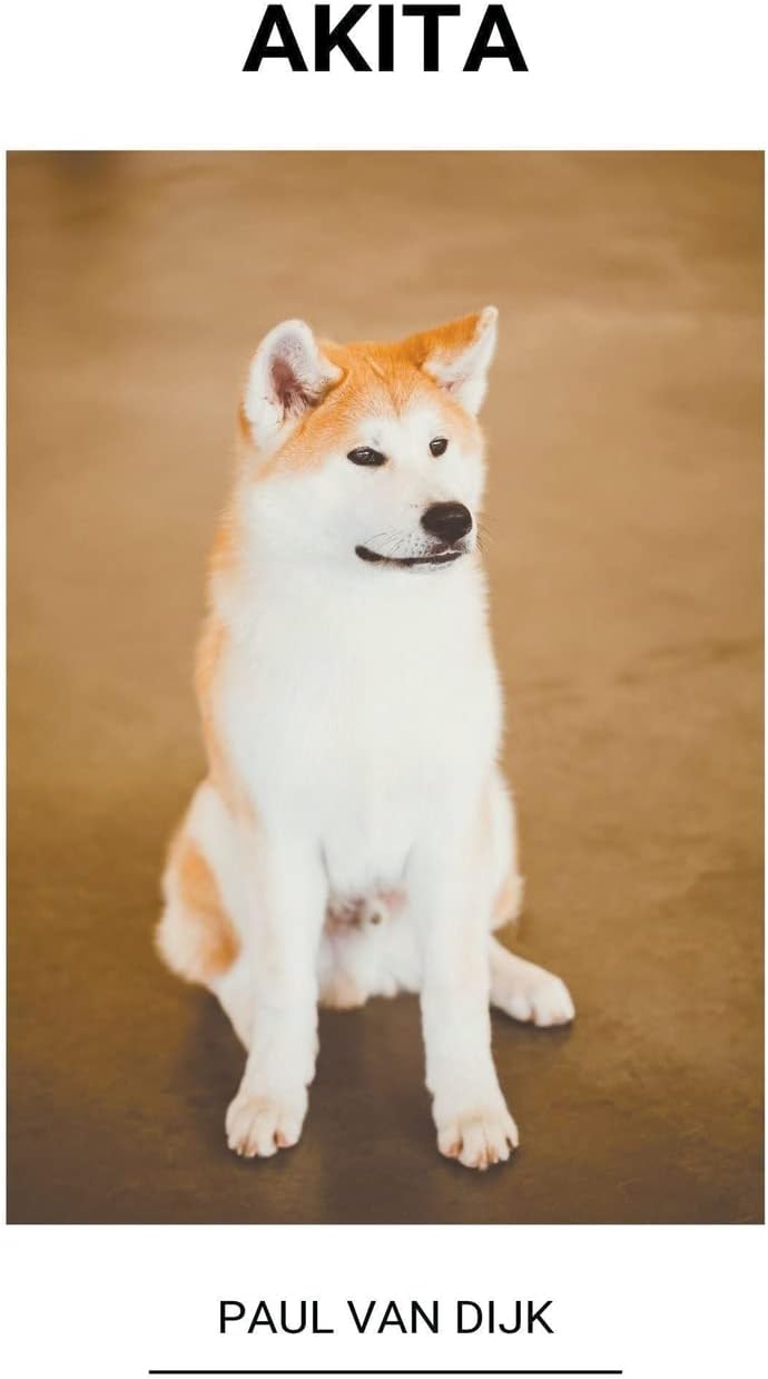 Akita