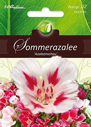 Godetia, Azalea show filled