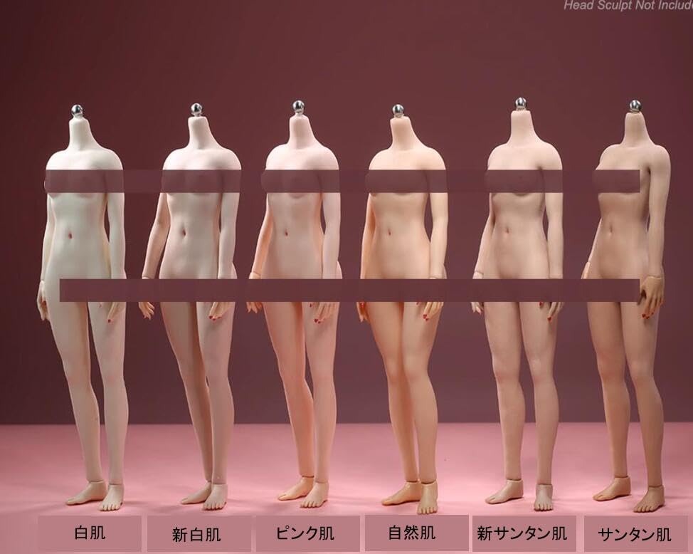 Amazon.co.jp: 「AC]JIAOUDOLL 1/6 女性 シームレス素体 可動