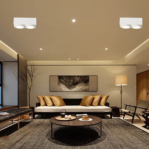 Plafonnier intérieur moderne avec double spot directionnel de surface