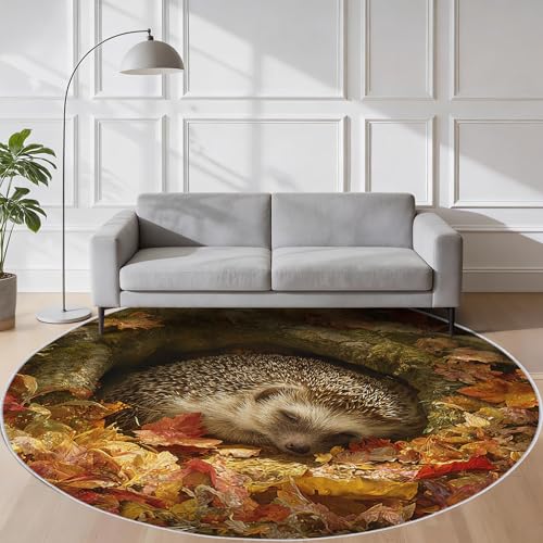 Hedgehog Round Rug 3.3ft, Washable Maple Leaf Circle Rugs for Living, Bedroom, Dining Room Table, Non-Slip, Low Pile, Hedgehog Home Decor Carpet AA2400