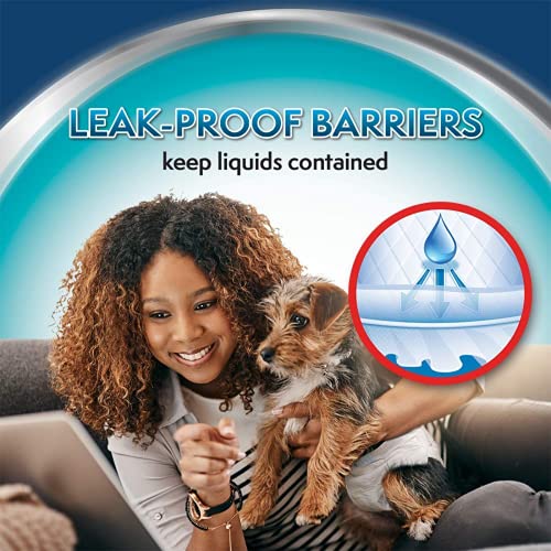 Image of Simple Solution Disposable Diapers for Dogs, Insta Shield Core, Leak-Proof, Fur-Friendly Fasteners, Ideal for Females in Heat, Incontinence & Travel - Pack of 12
