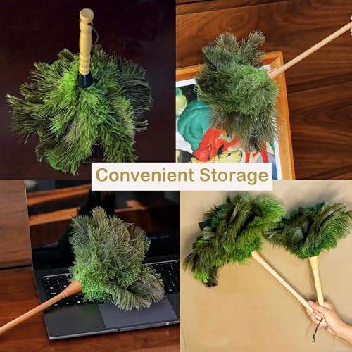 Image of Ostrich Feather Dusters, Naturally Soft, Easy to Dust, Multi-Purpose Use, Solid Wood Handle, 17.3'' Long, Dark Green