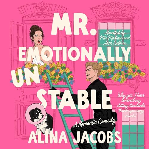 『Mr. Emotionally Unstable』のカバーアート