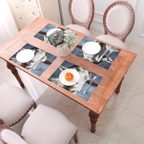 Set de table chèvre thermorésistant 46x30 cm tissé antidérapant - 7