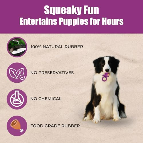 SPOT Puppy Pacifier Latex Dog Toy – Soft Binky-Shaped Chew for Teething Puppies & Small Dogs, 4.5 Inch, for Light Chewers Only, Squeaky Natural Latex, Assorted Colors - Thumbnail 4